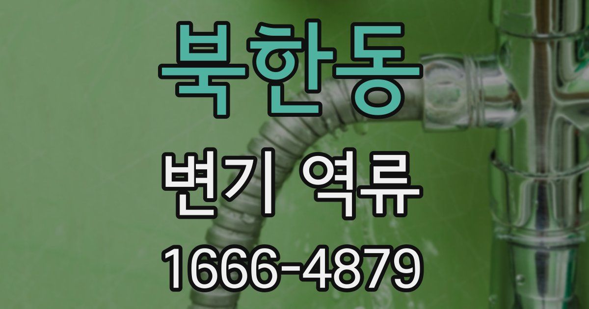 북한동 변기 역류