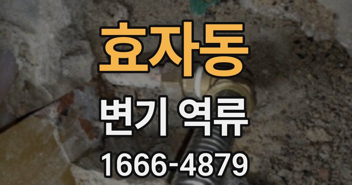 효자동 변기 역류