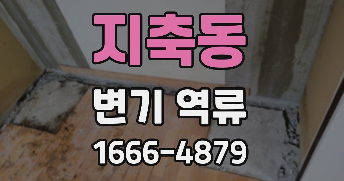 지축동 변기 역류