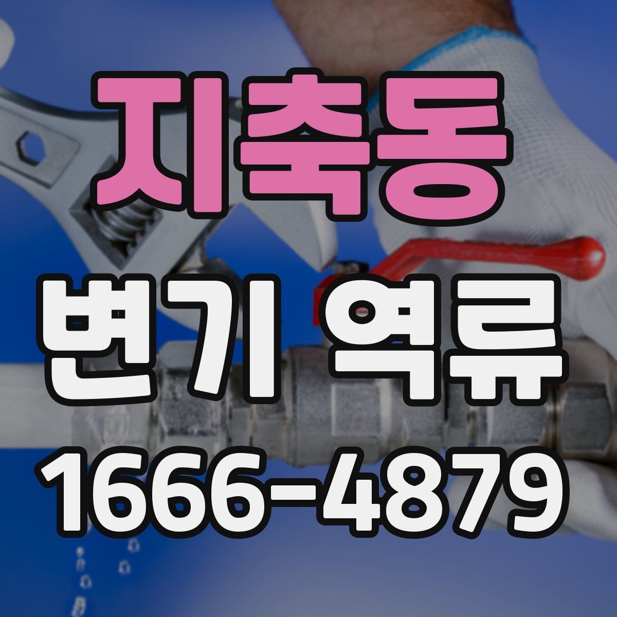 지축동 변기 역류