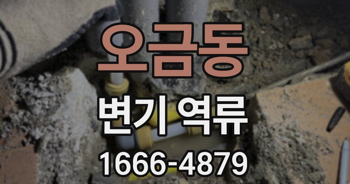 오금동 변기 역류