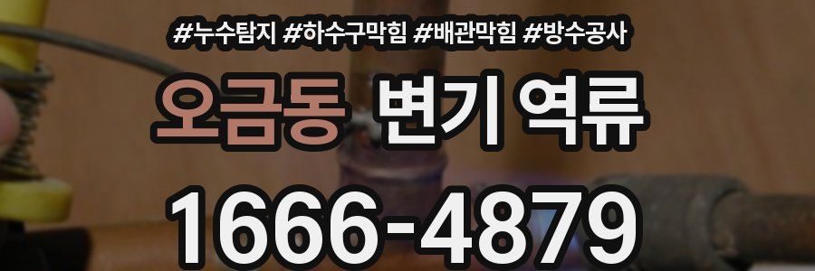 오금동 변기 역류