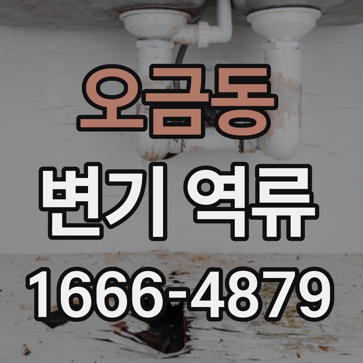 오금동 변기 역류
