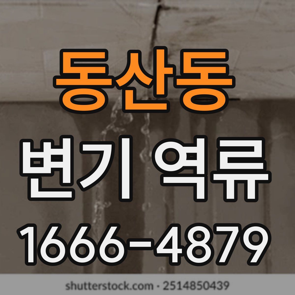 동산동 변기 역류