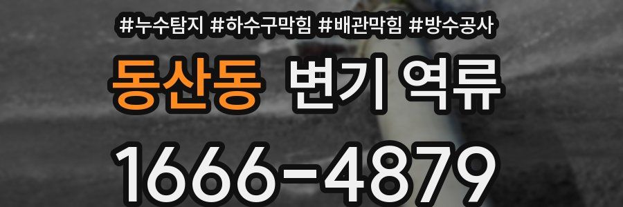 동산동 변기 역류