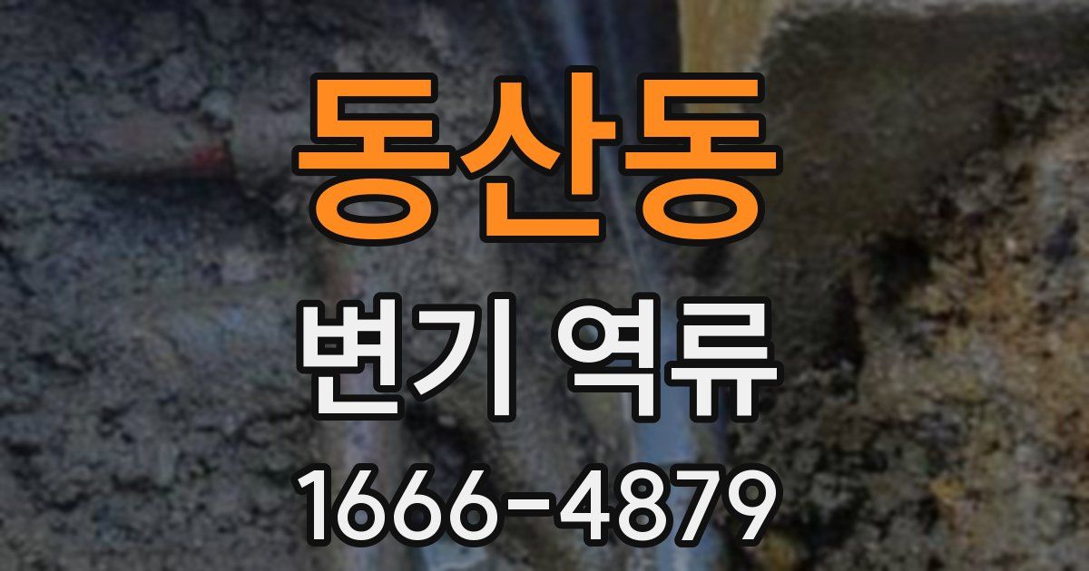 동산동 변기 역류