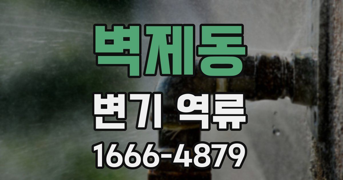 벽제동 변기 역류