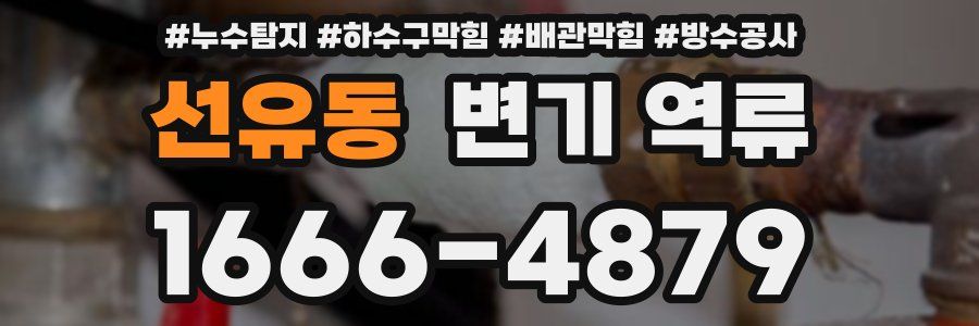 선유동 변기 역류