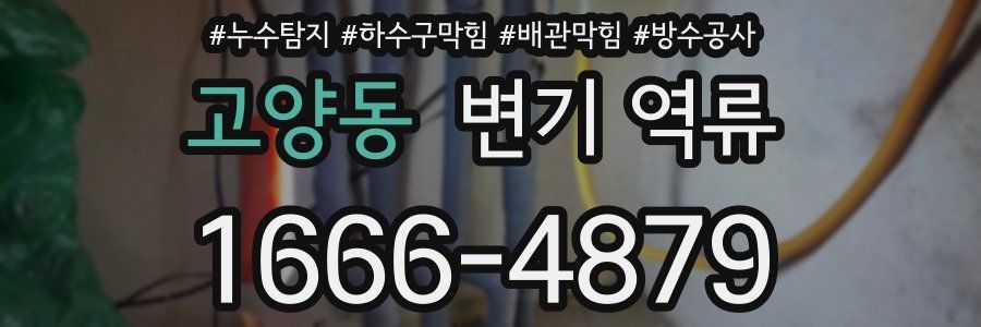 고양동 변기 역류