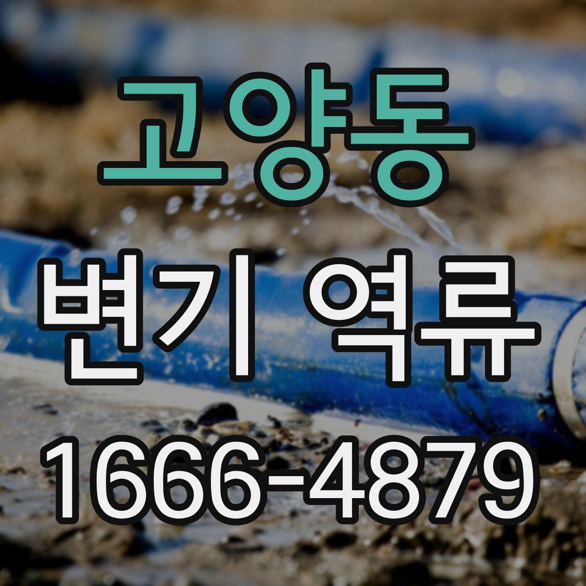 고양동 변기 역류