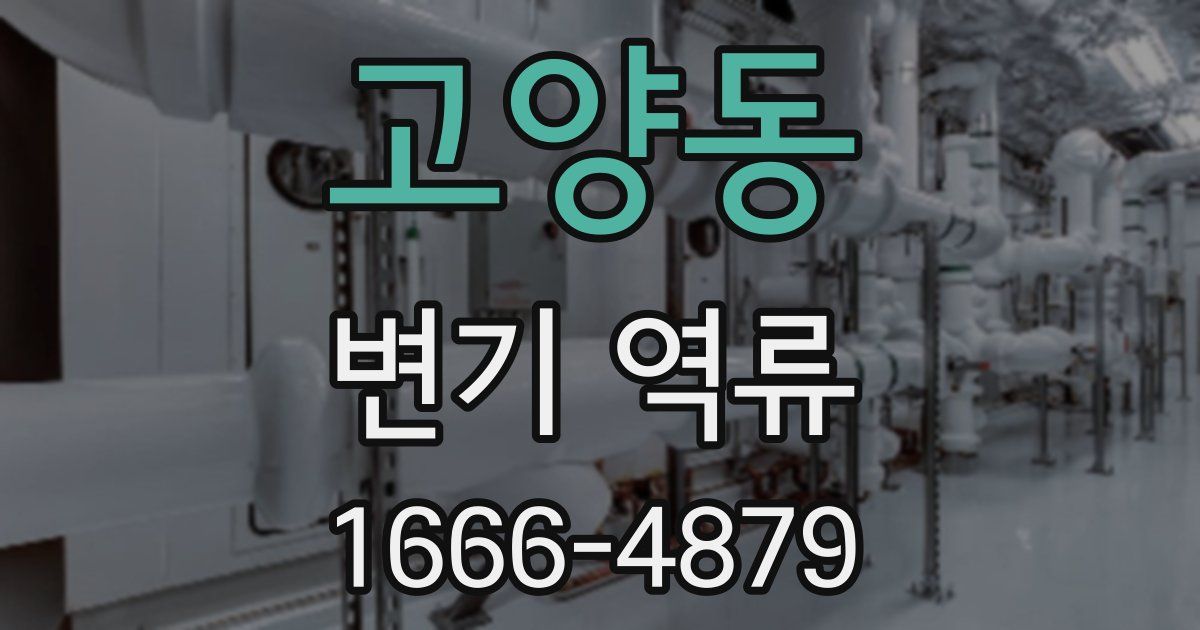 고양동 변기 역류