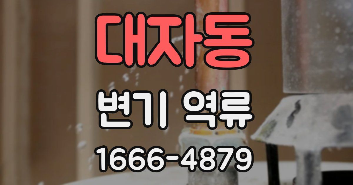 대자동 변기 역류