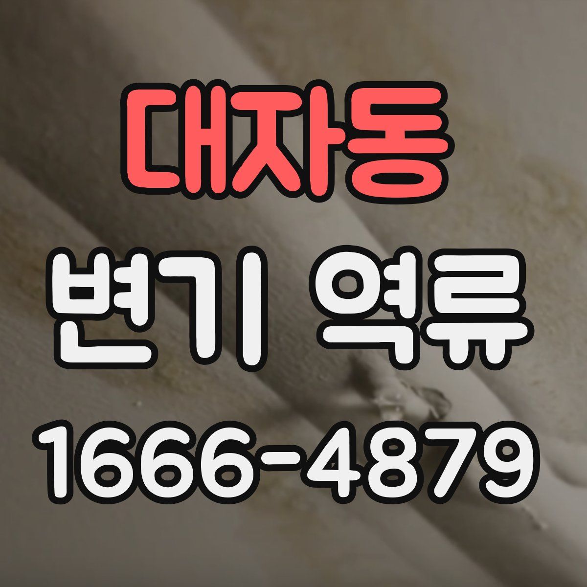 대자동 변기 역류