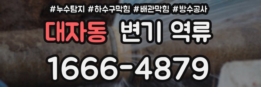 대자동 변기 역류
