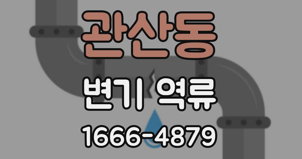 관산동 변기 역류
