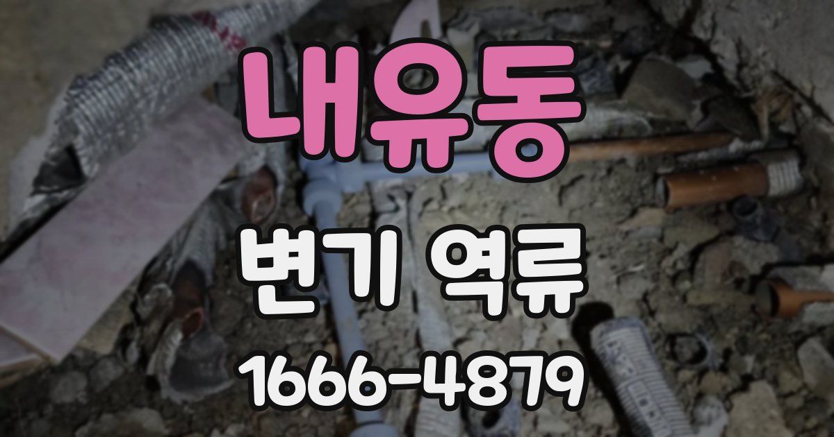 내유동 변기 역류