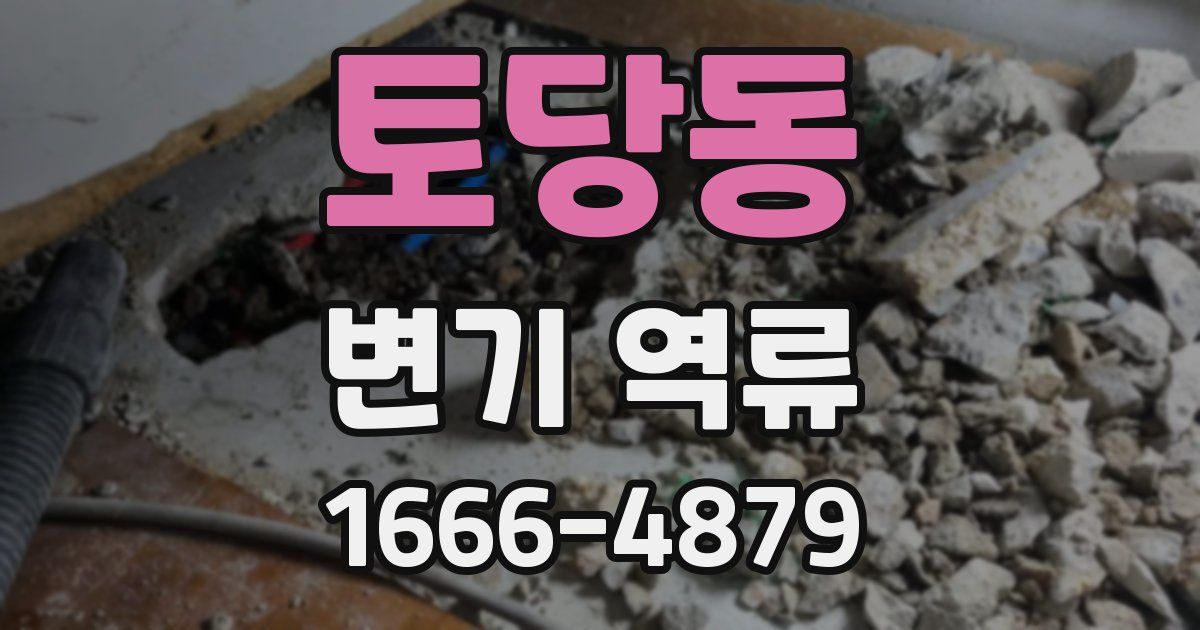 토당동 변기 역류