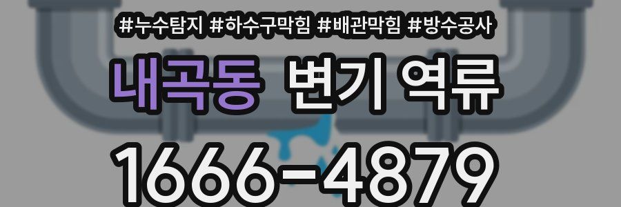 내곡동 변기 역류
