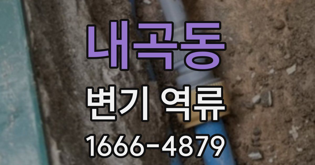 내곡동 변기 역류