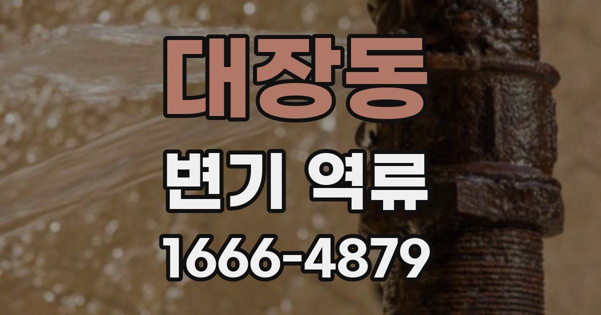 대장동 변기 역류