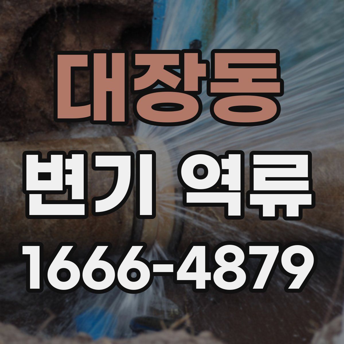 대장동 변기 역류