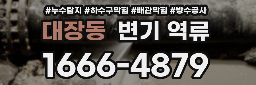 대장동 변기 역류