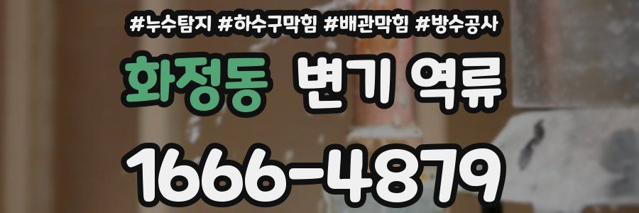 화정동 변기 역류