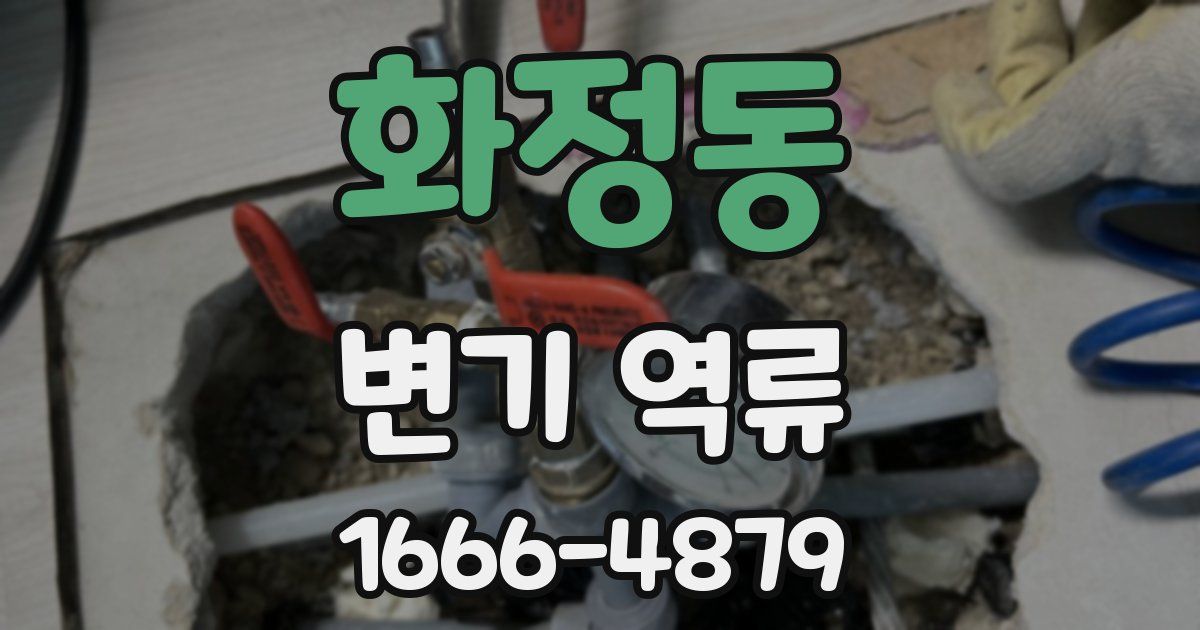 화정동 변기 역류