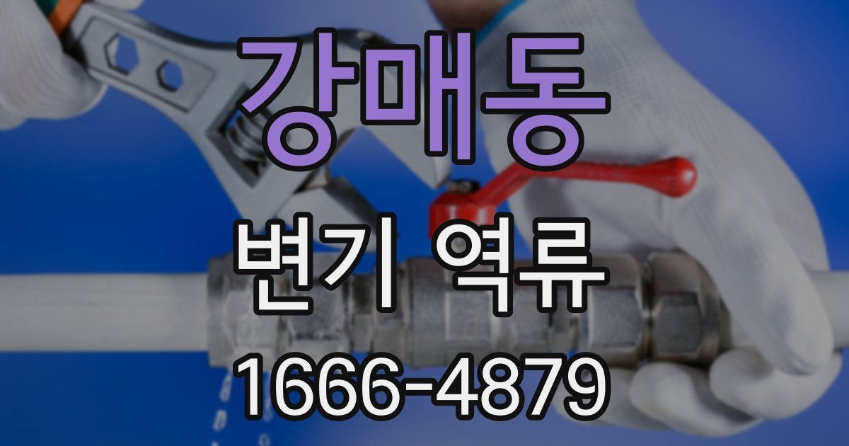 강매동 변기 역류