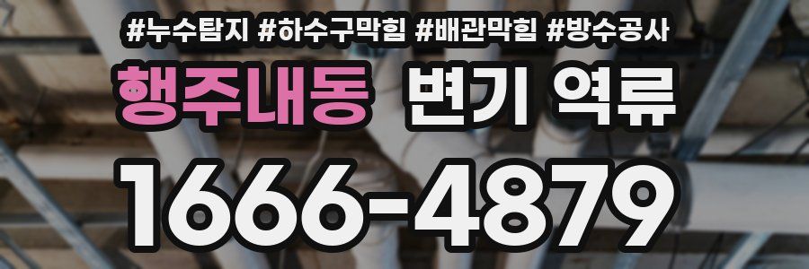 행주내동 변기 역류