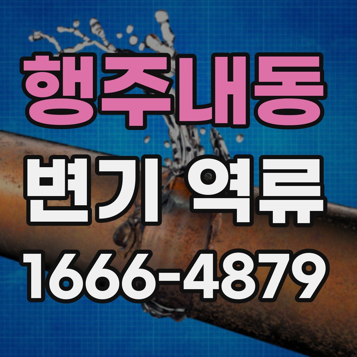 행주내동 변기 역류