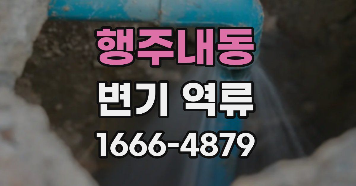 행주내동 변기 역류