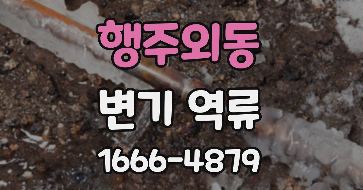 행주외동 변기 역류