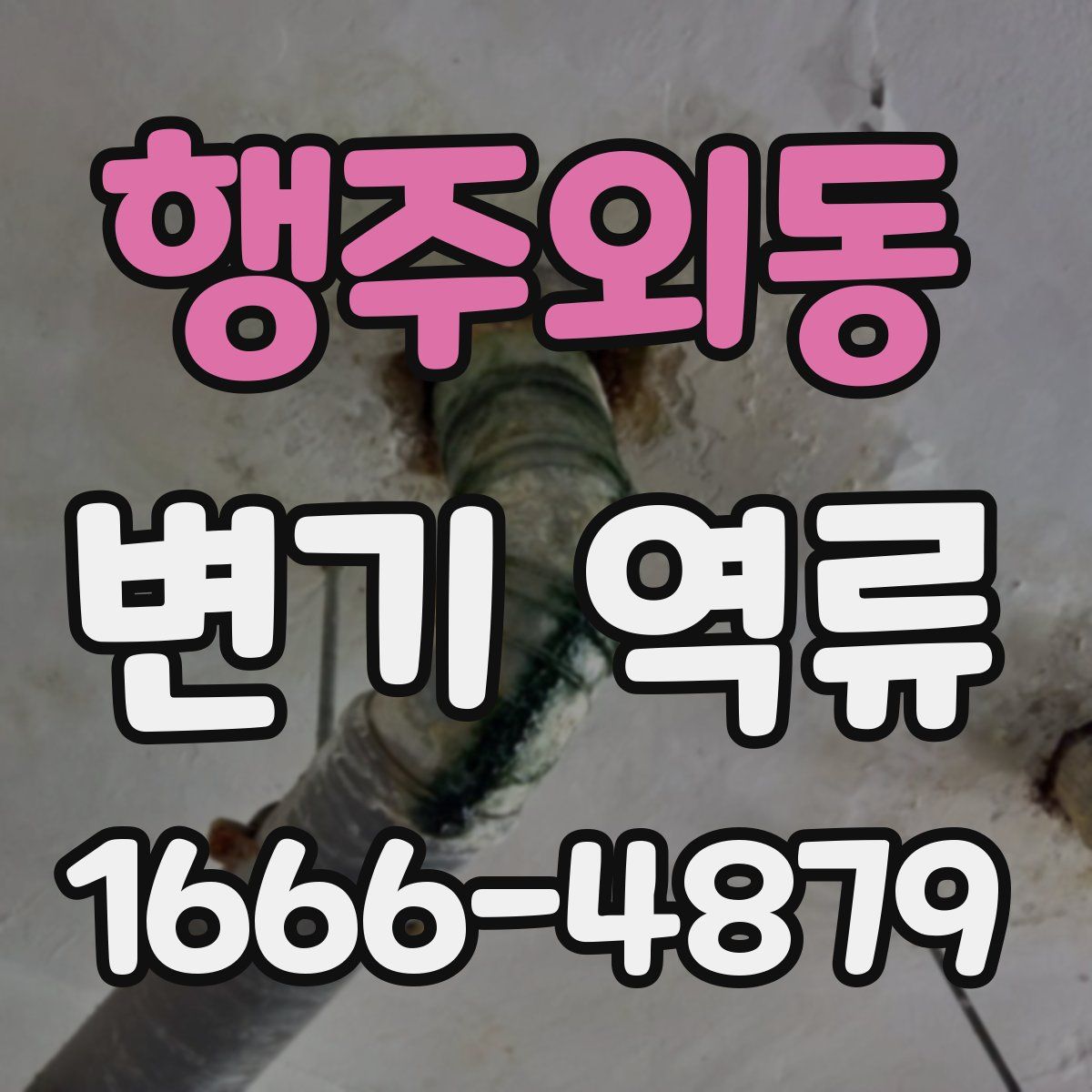행주외동 변기 역류