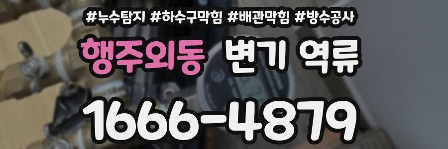 행주외동 변기 역류