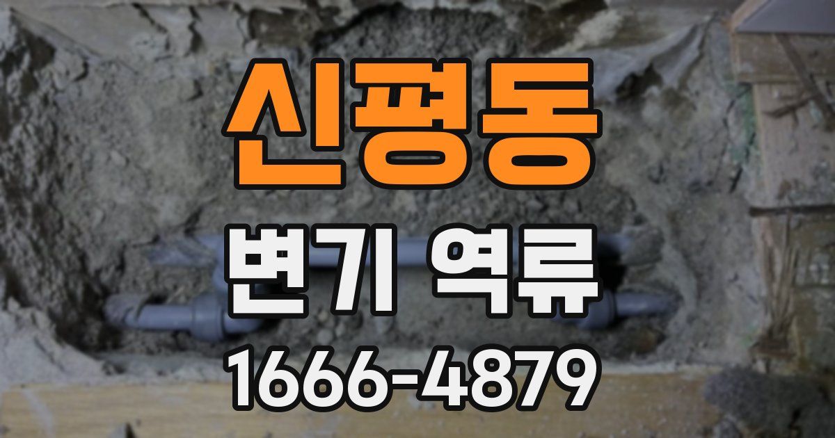 신평동 변기 역류