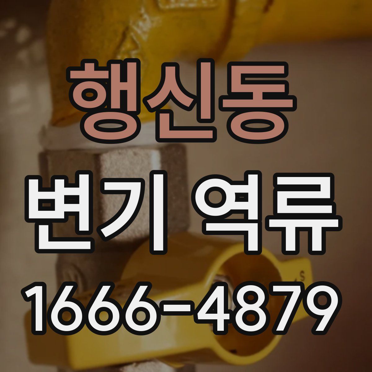 행신동 변기 역류