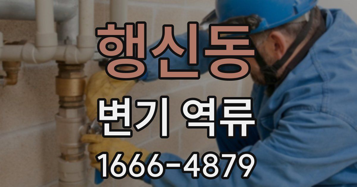 행신동 변기 역류