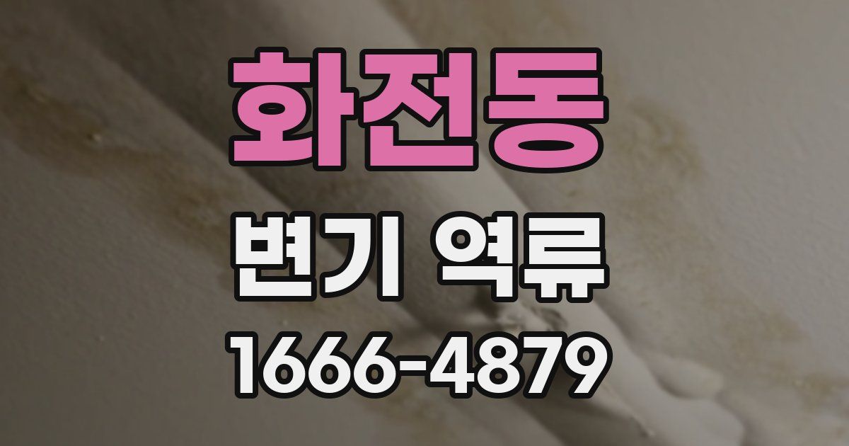 화전동 변기 역류