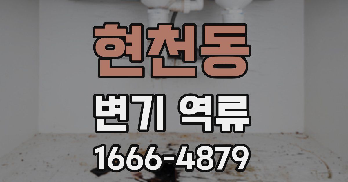 현천동 변기 역류