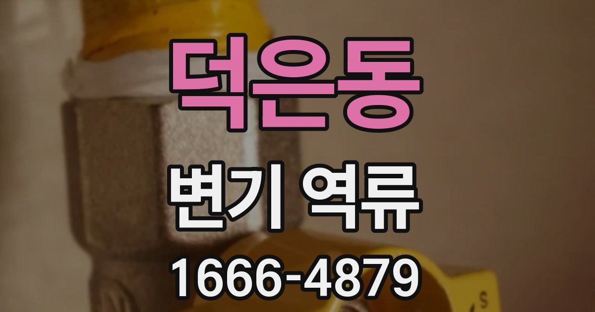 덕은동 변기 역류