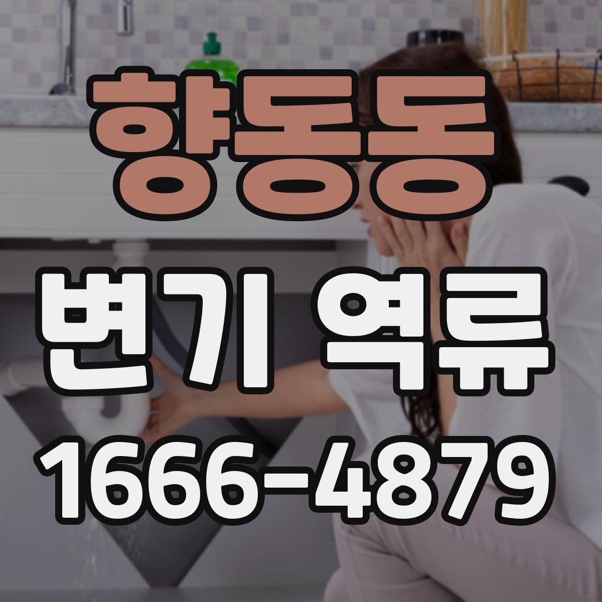 향동동 변기 역류
