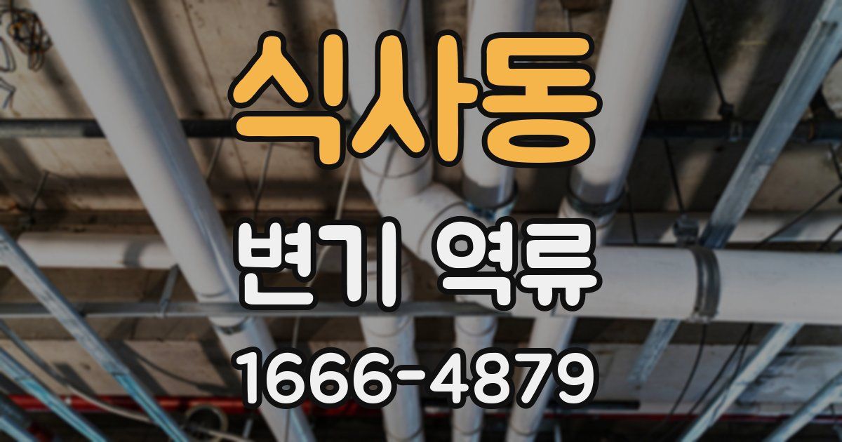 식사동 변기 역류