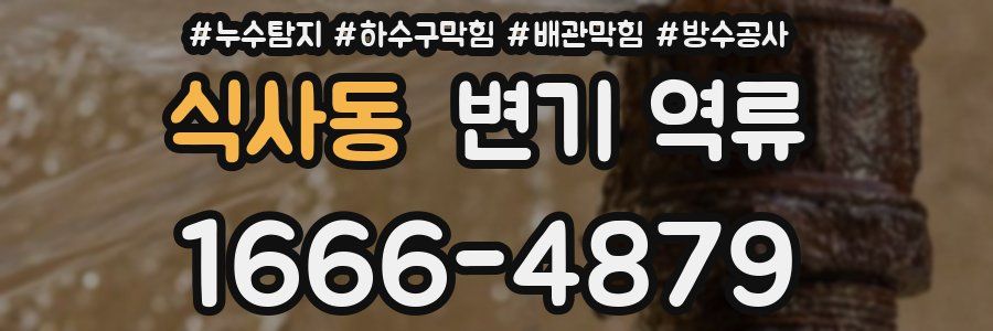 식사동 변기 역류