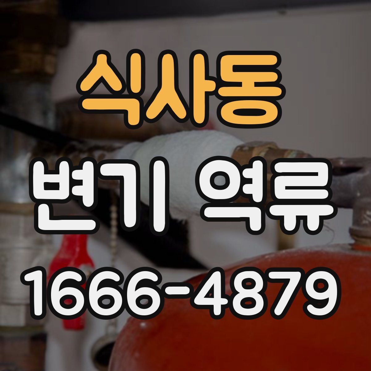 식사동 변기 역류