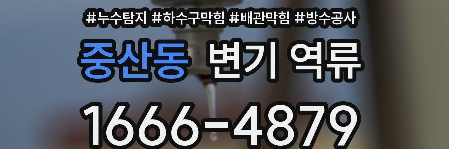중산동 변기 역류