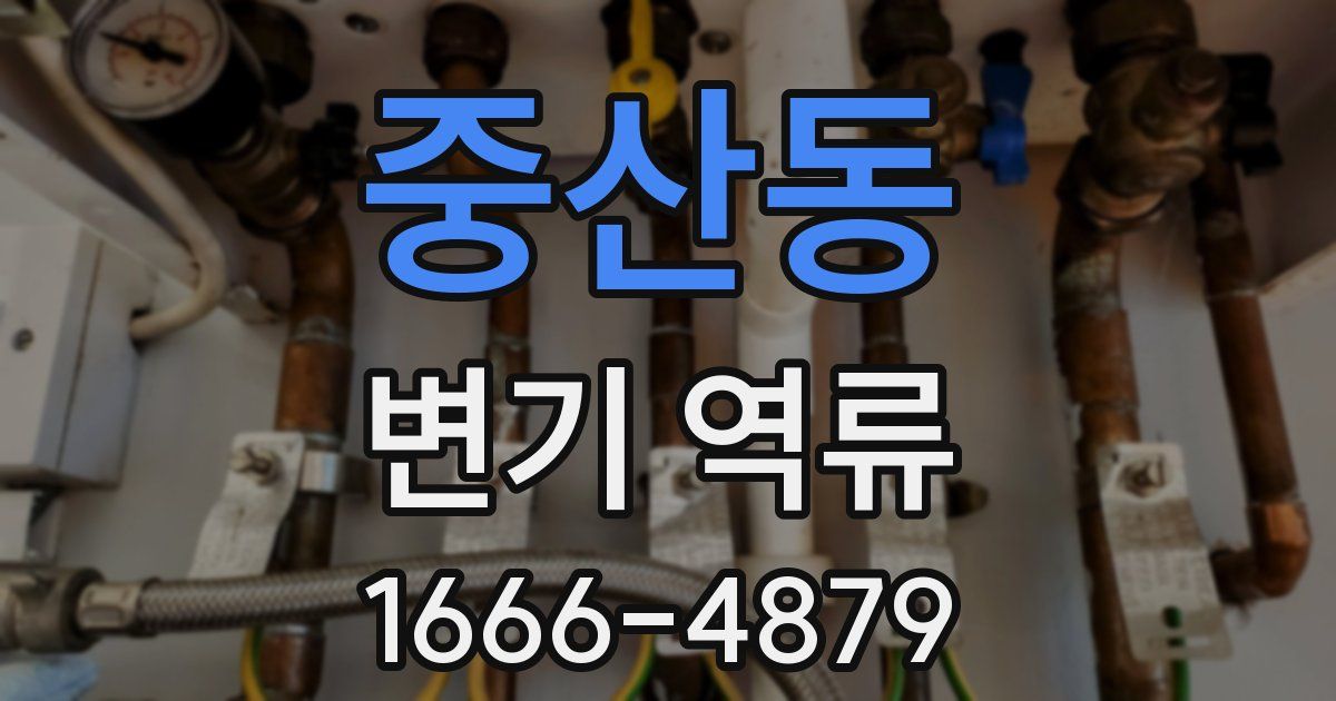 중산동 변기 역류