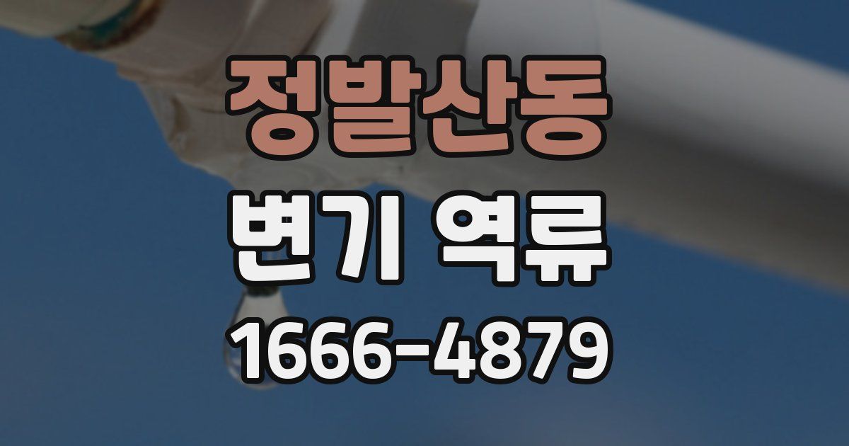 정발산동 변기 역류