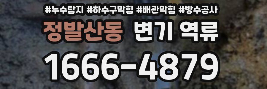 정발산동 변기 역류