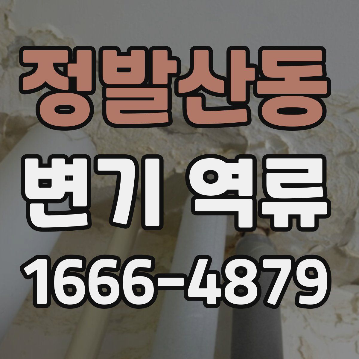 정발산동 변기 역류